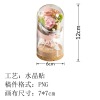 情人节礼物永生花，玻璃罩摆件-不带灯（稿件格式PNG)