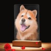 亚克力照片小夜灯