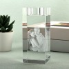 3D内雕水晶来图定制（烛台款）