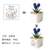 玻璃郁金香花盆