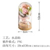 情人节礼物永生花，玻璃罩摆件-不带灯（稿件格式PNG)