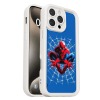 iPhone 16 Pro Max 手机壳（新泽西仓，上传USPS面单）