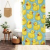 定制浴帘120x180cm（德国工厂不包邮）