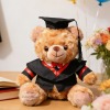 毕业熊（烫画工艺，稿件格式PNG）