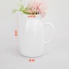 带把花盆    （稿件格式PNG）