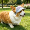 宠物棒球帽