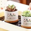 白瓷花盆带底座