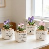 玻璃郁金香花盆
